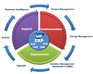SAP  Services